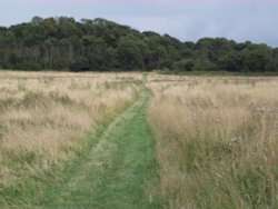 Horsenden Hills Wallpaper