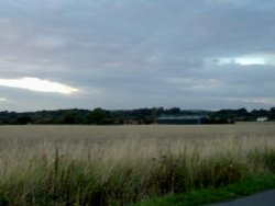 Bethwines Farm