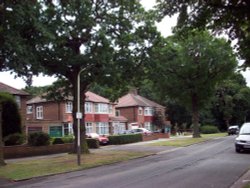 Whitton Drive Wallpaper