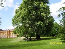 Wrest Park Wallpaper