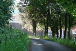 Hothersall Lodge Wallpaper