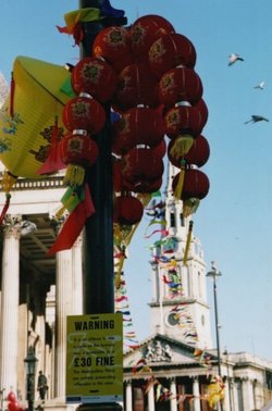 Chinese Lanterns