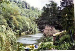 By the river Wallpaper