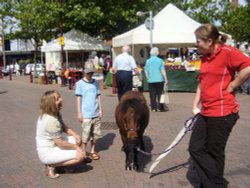 Long Eaton Wallpaper