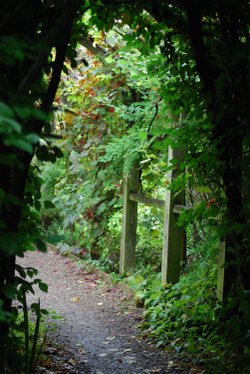 What's around the corner