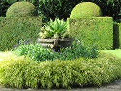 Topiary & formal display
