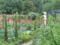 Ornamental Kitchen Garden