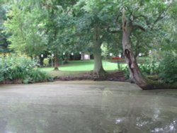 The Lake Field