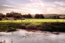 Shillingstone in Dorset Wallpaper