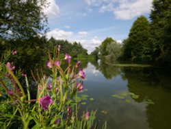 Jubilee Lake, Steeple Claydon, Bucks Wallpaper