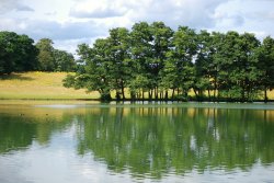 Reflections in the lake Wallpaper