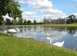 Audley End House   (and swans) Wallpaper