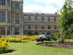 Audley End House Wallpaper