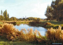 Cathedral in distance Wallpaper