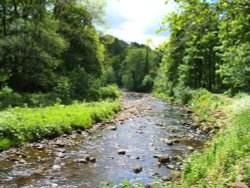 Brock Bottoms Wallpaper