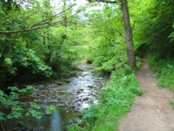 Brock Bottoms Wallpaper