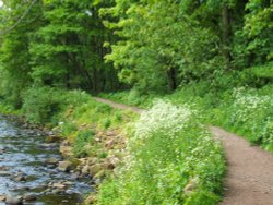 Brock Bottoms Wallpaper