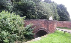 Bridge