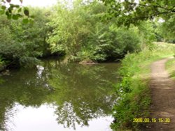 Chesterfield Canal near Tapton