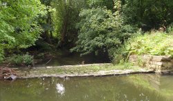 Chesterfield Canal near Tapton