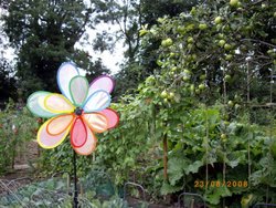 The Allotments Wallpaper