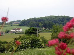 Holme Farm Wallpaper