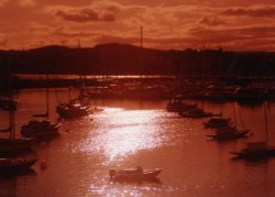 Harbour Nights no.1 Wallpaper