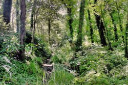 Ringstead Bay, Dorset Wallpaper