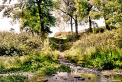 Ringstead Bay, Dorset Wallpaper