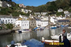 The Harbour Wallpaper