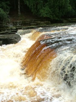 A view of Aysgarth, North Yorkshire