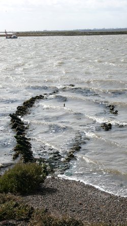 All that remains of a boat