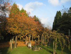 Autumn