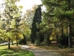 Autumn in the park