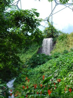 Large waterfall in Rainforest area at Eden