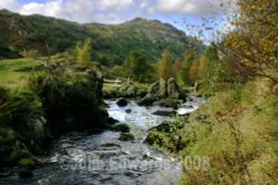 The Stream
