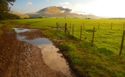 Puddle