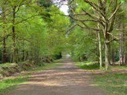 An excellent walk. Wallpaper