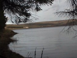 The Lodge - Burnhope Wallpaper