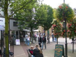 Still flowering in September Wallpaper