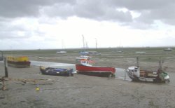 Stuck In The Mud Wallpaper