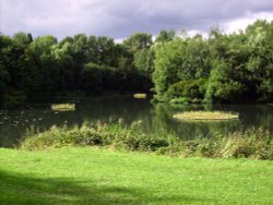 Floating islands, Bumble Hole, Dudley Wallpaper