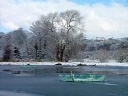Floating islands near Witton