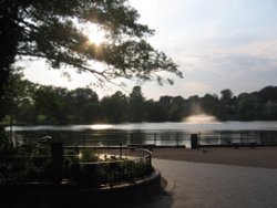 The Pond