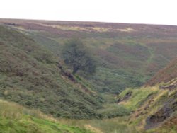 Early autumn colours Wallpaper