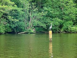 Wroxham broads Wallpaper