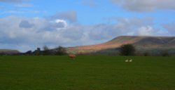 Pendle Hill Wallpaper