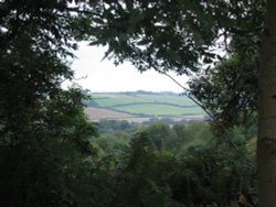 A walk in Shotover Country Park, Oxford Wallpaper