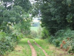 A walk in Shotover Country Park, Oxford Wallpaper
