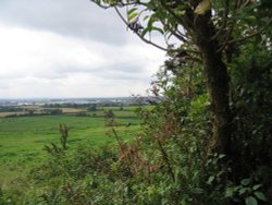A walk in Shotover Country Park, Oxford Wallpaper